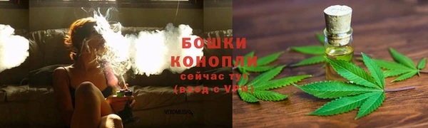 стаф Билибино
