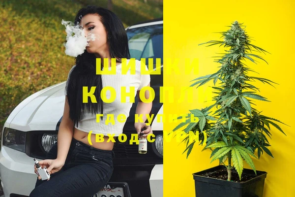 тгк Абинск