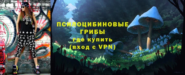 тгк Абинск