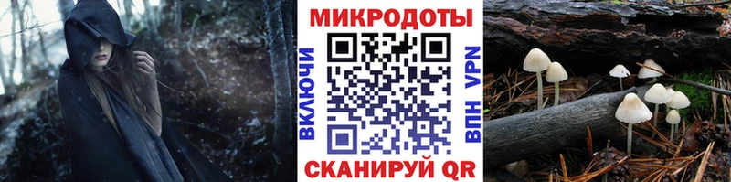 Галлюциногенные грибы мицелий  omg зеркало  Дрезна 